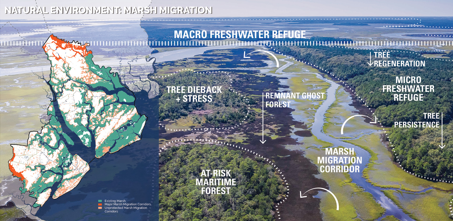 Natural Environment: Marsh Migration
